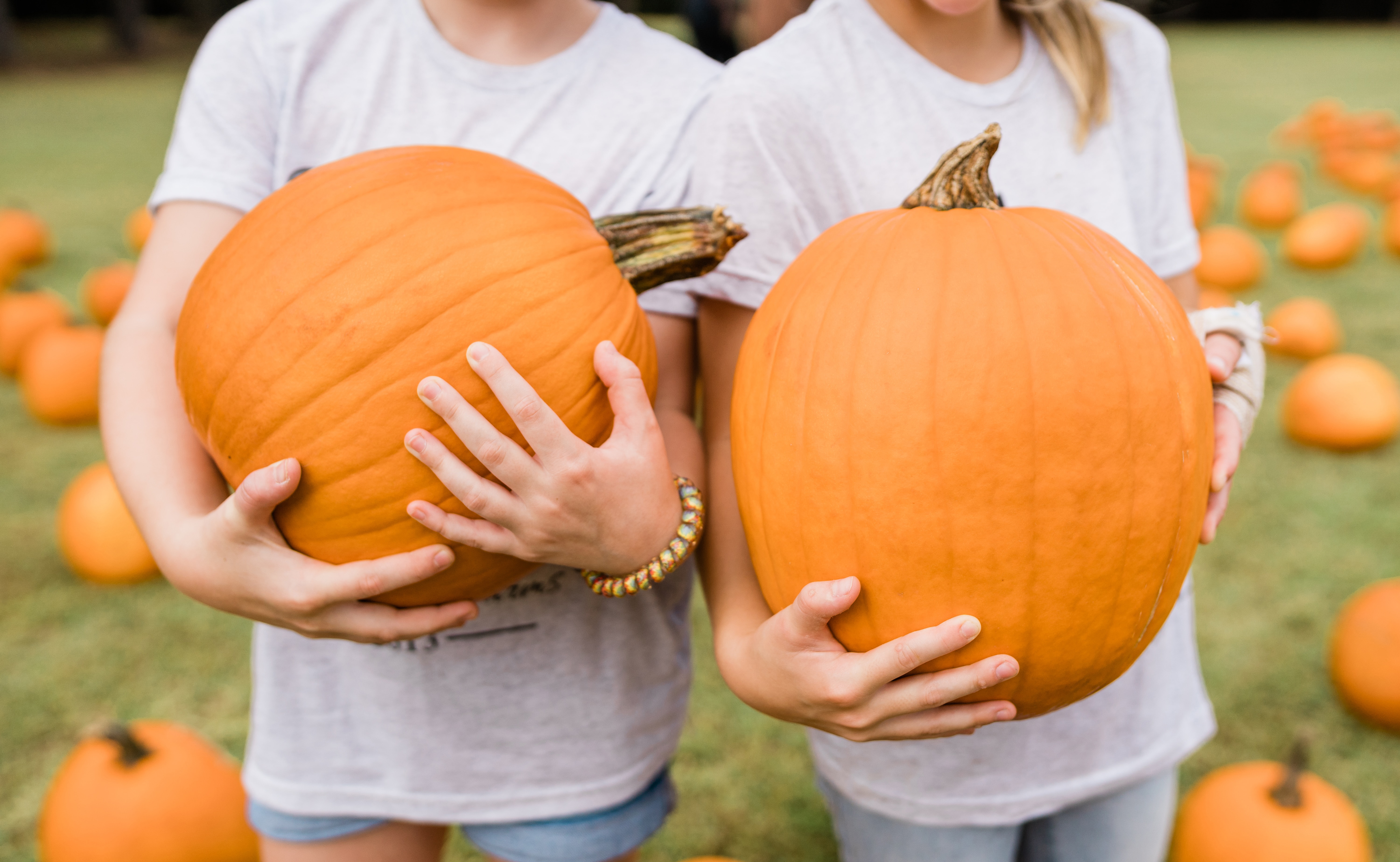 kids holding a pumpkins